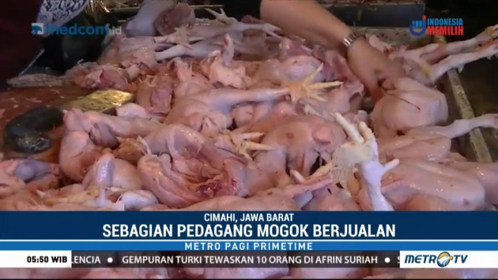 Harga Ayam Potong di Sejumlah Daerah Naik