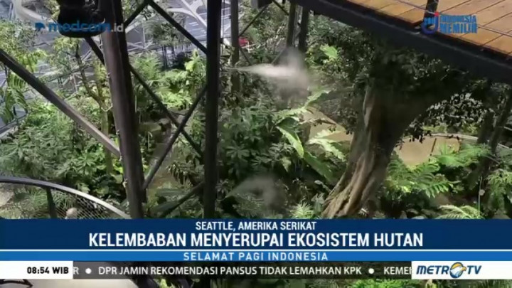 The Spheres, Kantor Berkonsep Alam Ala Amazon