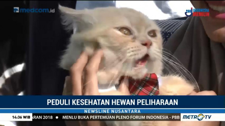 Tips Menjaga Kesehatan Hewan Peliharaan