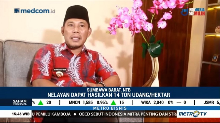 Pemerintah Sumbawa Barat Kembangkan Potensi Budidaya Udang