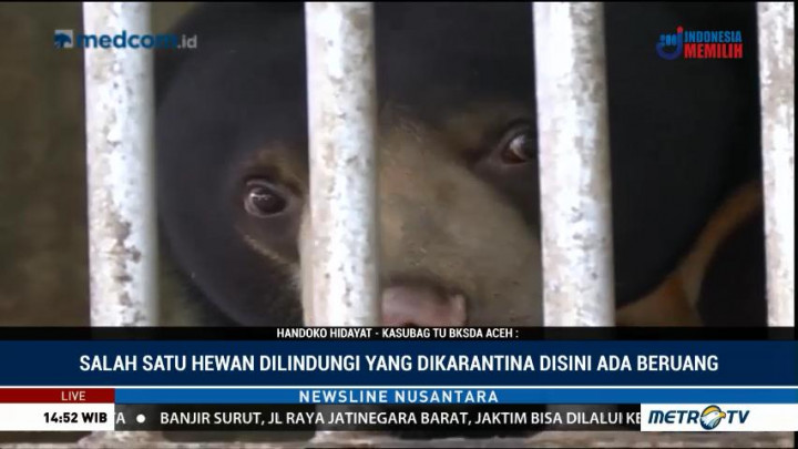 Peduli Keberadaan Satwa Dilindungi