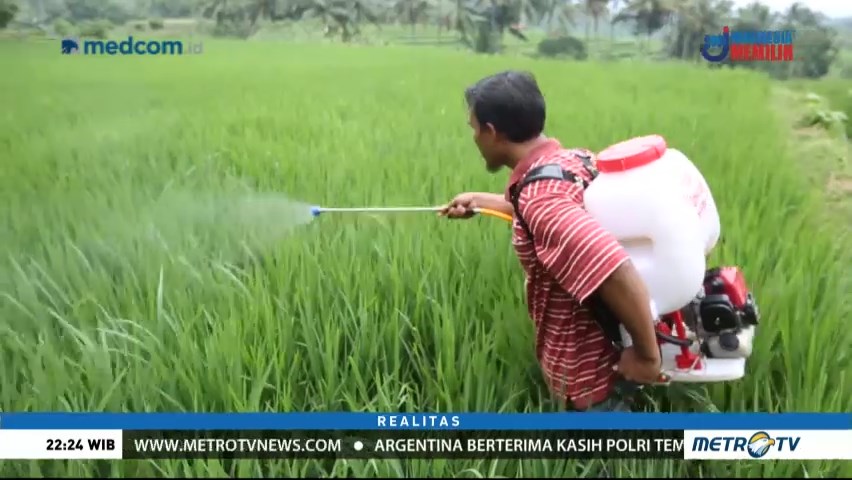 Stok Beras Menipis atau Lebih? (3)