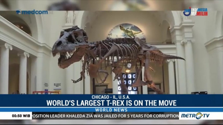 World's Largest T-Rex on the Move at Chicago’s Field Museum