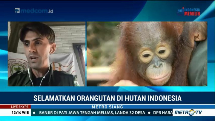 Potensi Konflik Satwa dan Manusia Kian Meningkat