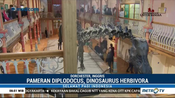 Rangka Dinosaurus Dippy Hadir di Kota Dorchester Inggris