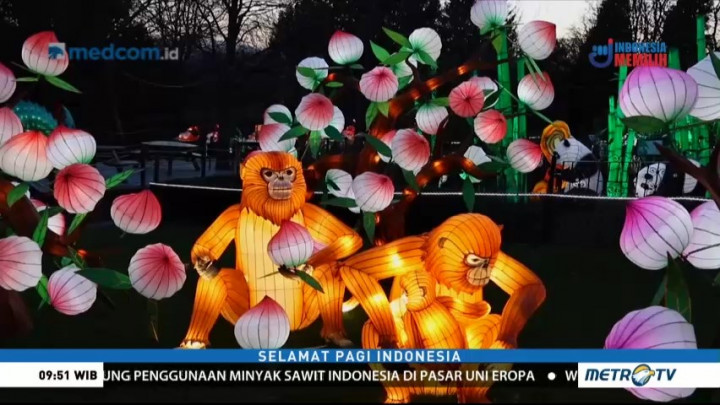 Peringati Imlek, Ratusan Lampion Satwa Dipajang di Kebun Binatang Edinburgh