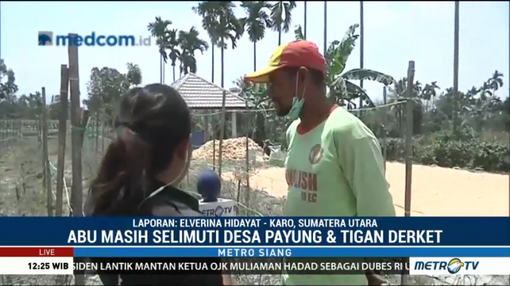 Terpapar Abu Vulkanik Gunung Sinabung, Petani Gagal Panen
