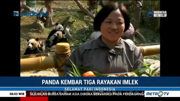 Panda Kembar Tiga Rayakan Imlek dengan Makanan Spesial