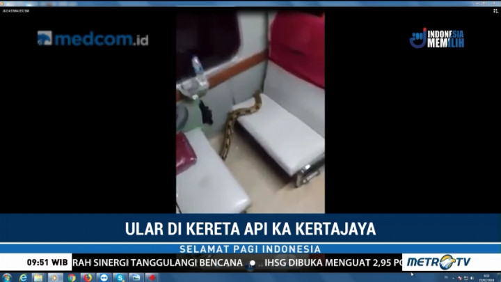 Ular Sanca Kejutkan Penumpang KA Kertajaya