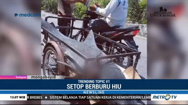 Viral, Video Seekor Hiu Dibawa Warga dengan Gerobak Motor