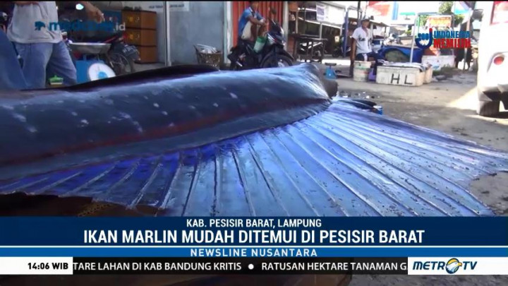 Menikmati Sate Ikan Tuhuk Khas Pesisir Barat Lampung
