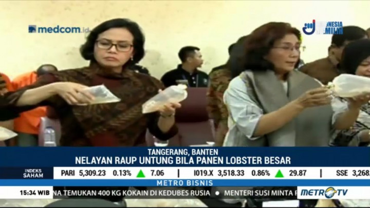 Bea Cukai Gagalkan Penyelundupan 1,8 Juta Benih Lobster