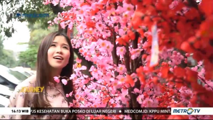 Journey: Jakarta China Town (2)