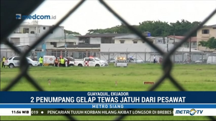 Dua Penumpang Gelap Tewas Terjatuh dari Pesawat