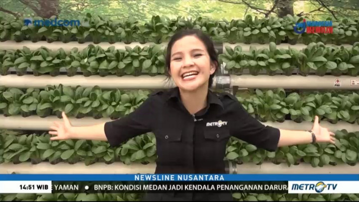 Kampung Hidroponik di Tengah Ibu Kota