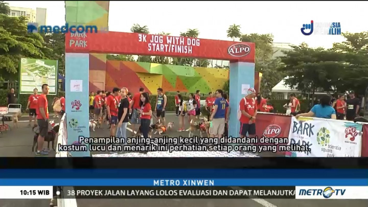 Kampanye Anti Perdagangan Daging Anjing Lewat Lomba 