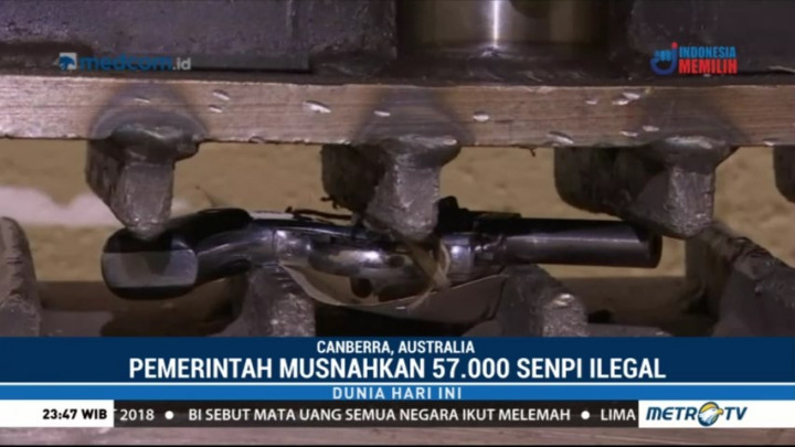 Australia Musnahkan 57 Ribu Senpi Ilegal