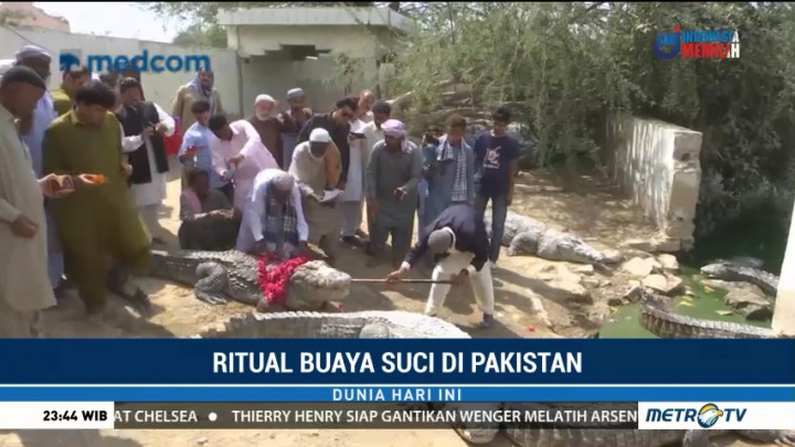 Ritual Buaya Suci di Pakistan