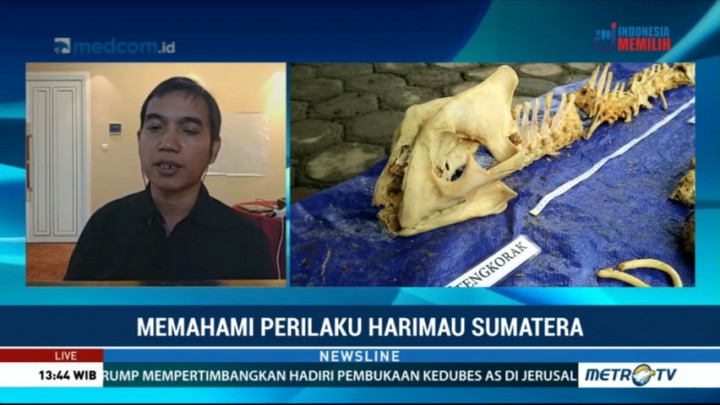 Mengakhiri Konflik Manusia vs Harimau (2)