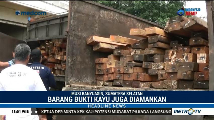 Petugas Tangkap Pelaku Pembalakan Liar di Musi Banyuasin