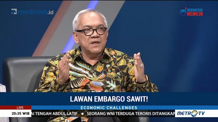 Pemerintah Diminta Ambil Langkah Tegas Tanggapi Embargo Sawit