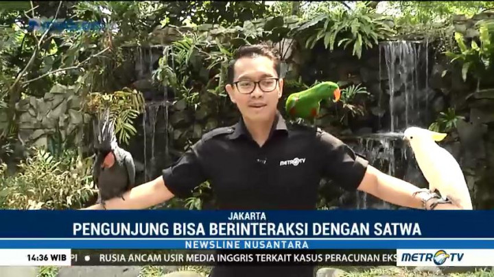 Bermain dengan Aneka Satwa di Faunaland