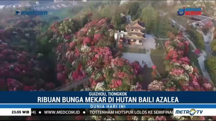 Pesona Musim Semi di Guizhou Tiongkok