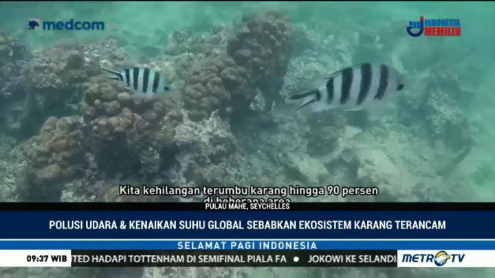 Melestarikan Terumbu Karang