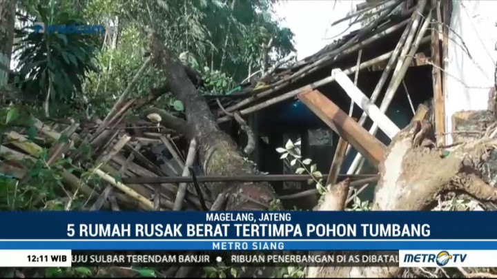 Lima Rumah di Magelang Rusak Tertimpa Pohon Tumbang