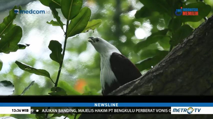 Melihat Konservasi dan Ekowisata Kepulauan Seribu (1)