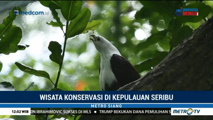 Wisata Konservasi di Kepulauan Seribu