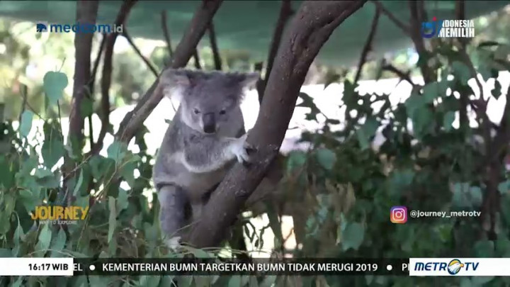 Journey to Queensland Australia (2)