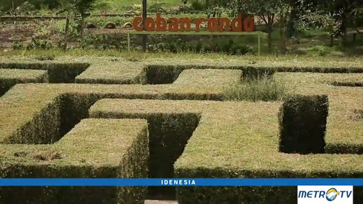 Uniknya Labirin Coban Rondo di Malang