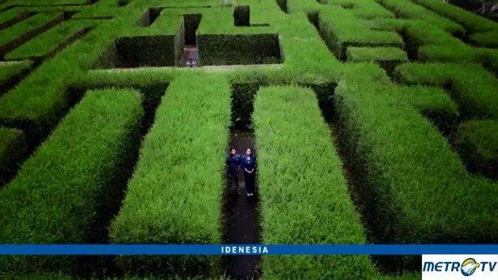 Awal Mula Berdirinya Taman Labirin di Malang