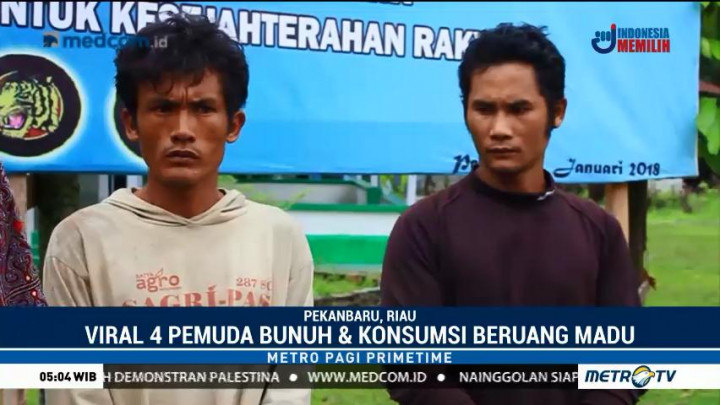 Petugas Gabungan Tangkap 4 Tersangka Pembantai Beruang Madu di Riau