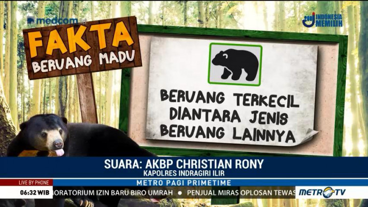 Satwa Dilindungi Terancam di Habitatnya