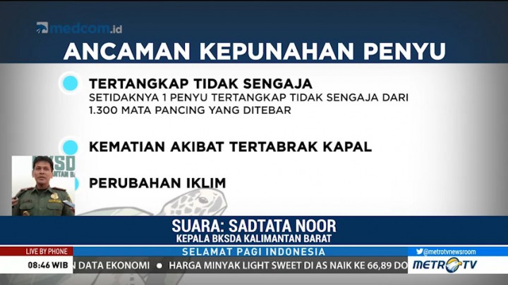 Penyu yang Mati di Pesisir Paloh Terindikasi Keracunan Tar Aspal