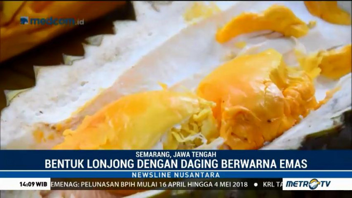 Mencicipi Durian Khas Kota Semarang