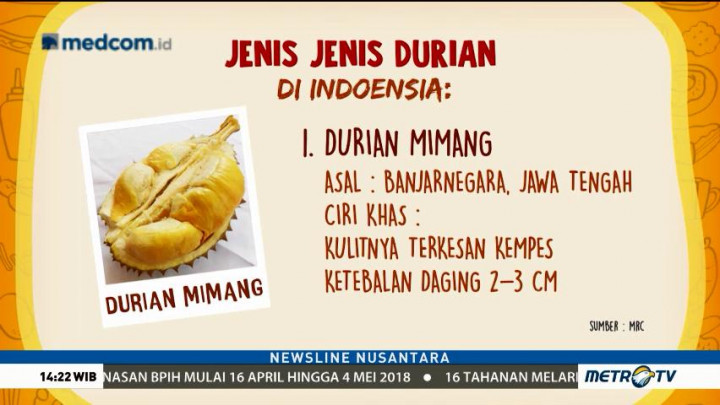 Jenis-jenis Durian di Indonesia