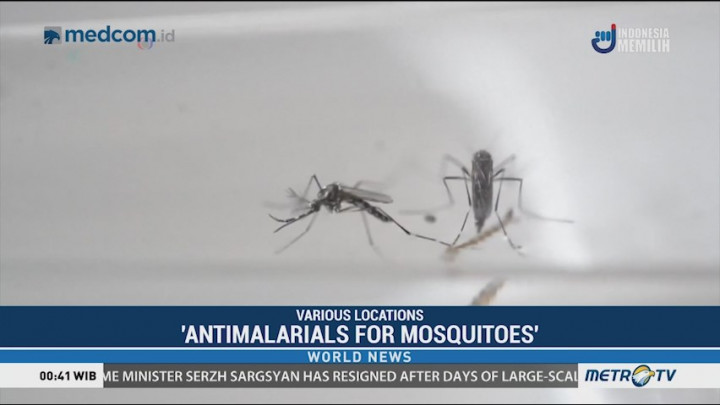 Scientist Calls for 'Antimalarials for Mosquitoes' to Fight Killer Disease