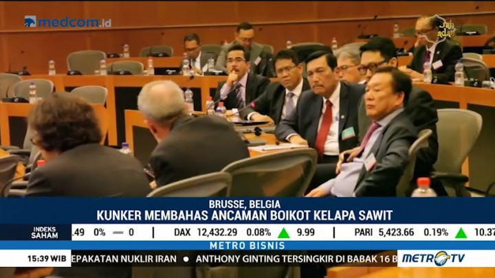 Menko Luhut Kunker ke Uni Eropa Bahas Ancaman Boikot Kelapa Sawit
