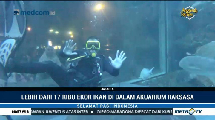 Sensasi Menyelam di Akuarium Raksasa