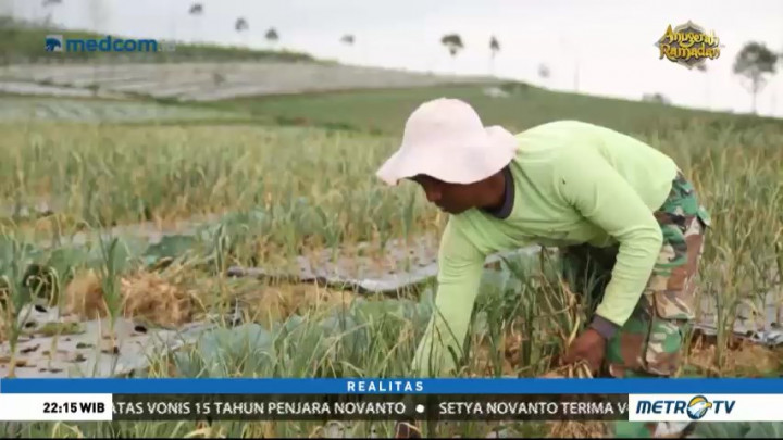 Tergadai Impor Bawang Putih (2)