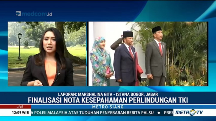 Jokowi Ajak Sultan Brunei Tanam Pohon Perdamaian