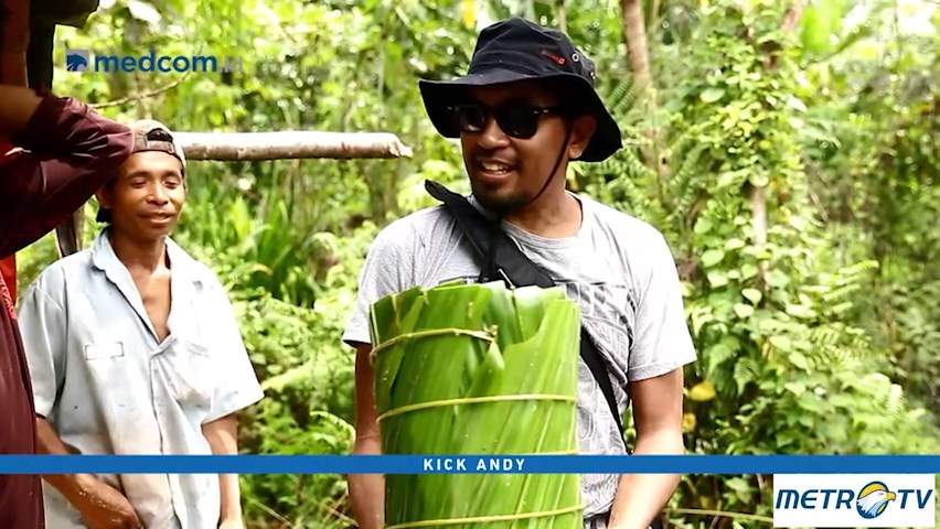 Musika Foresta Ajak Musisi ke Hutan Indonesia