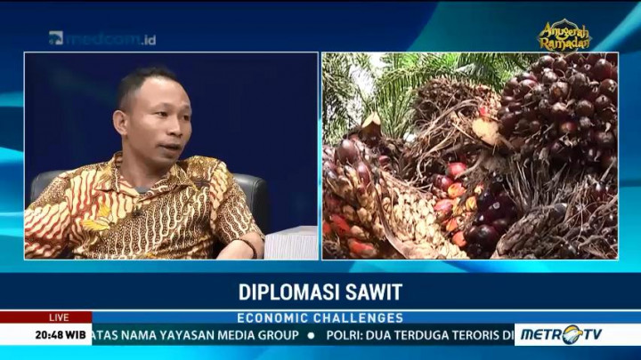 Bantuan Replanting Sawit Pemerintah Tidak Tepat Sasaran?