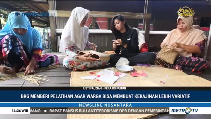 Sumber Daya Alam di Atas Lahan Gambut