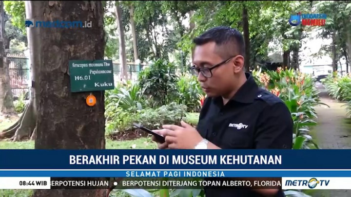 Berakhir Pekan di Museum Kehutanan