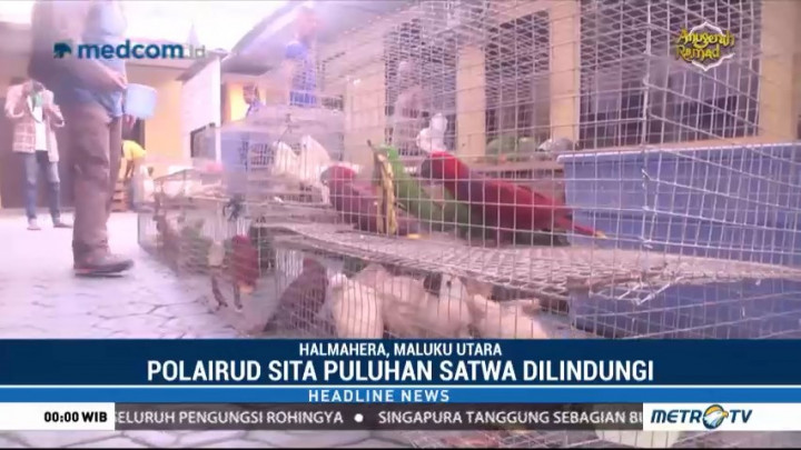 Polairud Polda Maluku Utara Gagalkan Penyelundupan Satwa Dilindungi