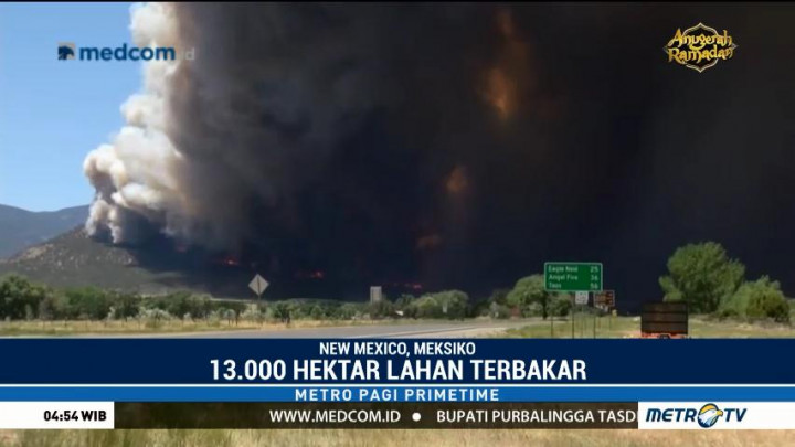 13 Ribu Hektare Lahan di New Mexico Terbakar